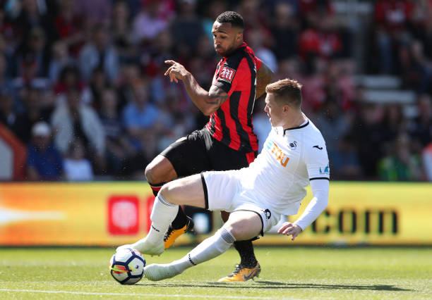 永續發展的 永續發展的