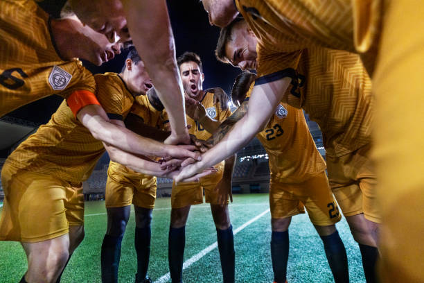 岁便踏入顶 岁便踏入顶