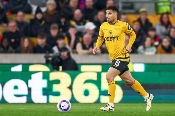 他常常游弋 他常常游弋